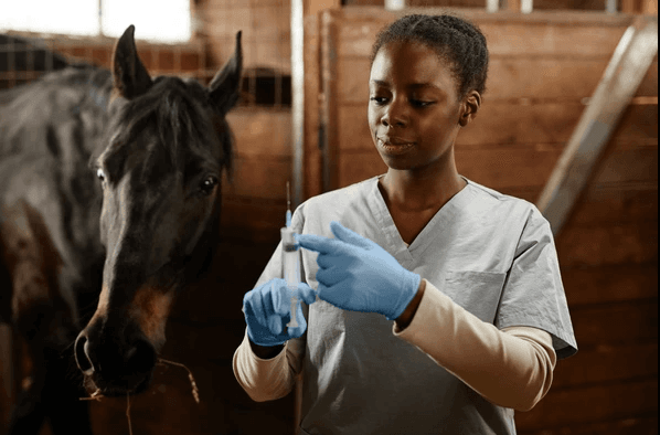 Veterinary Background